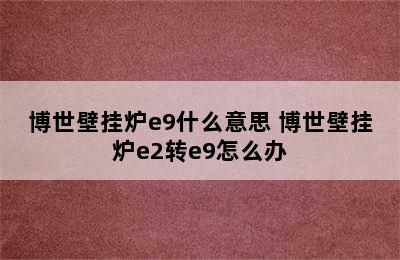 博世壁挂炉e9什么意思 博世壁挂炉e2转e9怎么办